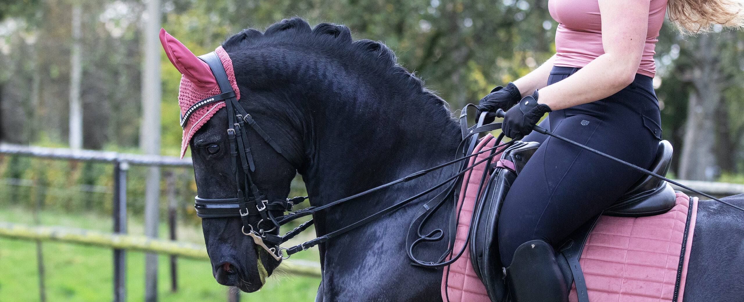 Allround Hippische Dienstverlening